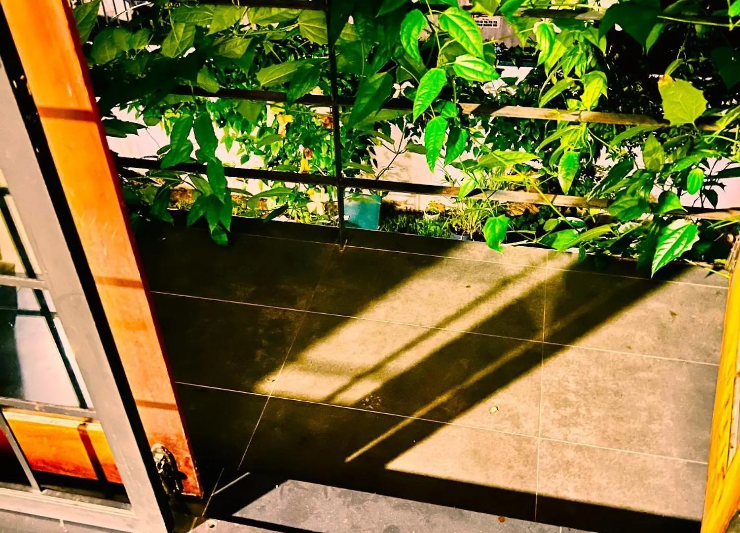 Eco Boutique Villa Gurudeniya Sri Lanka