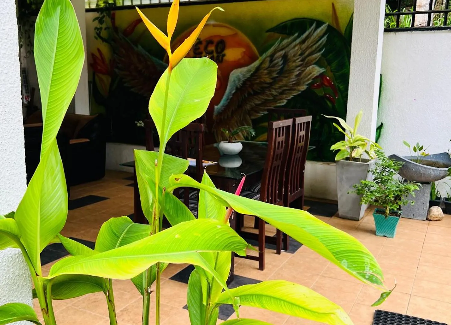 Eco Boutique Villa Gurudeniya Homestay