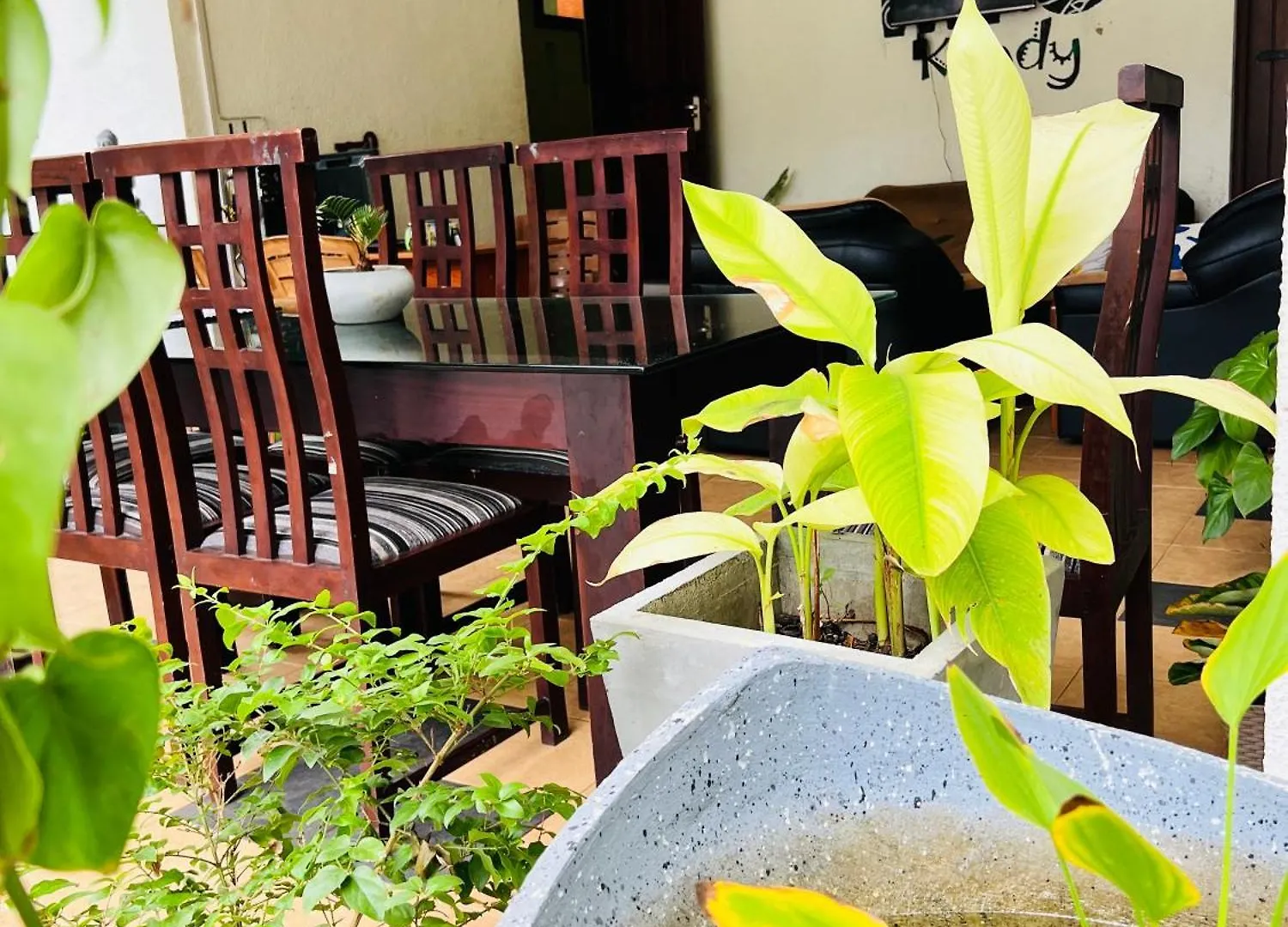 Homestay Eco Boutique Villa Gurudeniya Sri Lanka